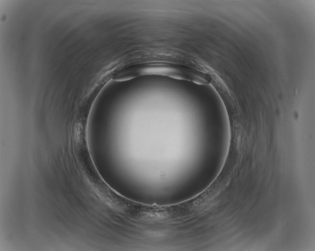 X0000086290071200703301147
