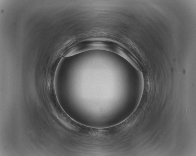 X0000086290072200703301147