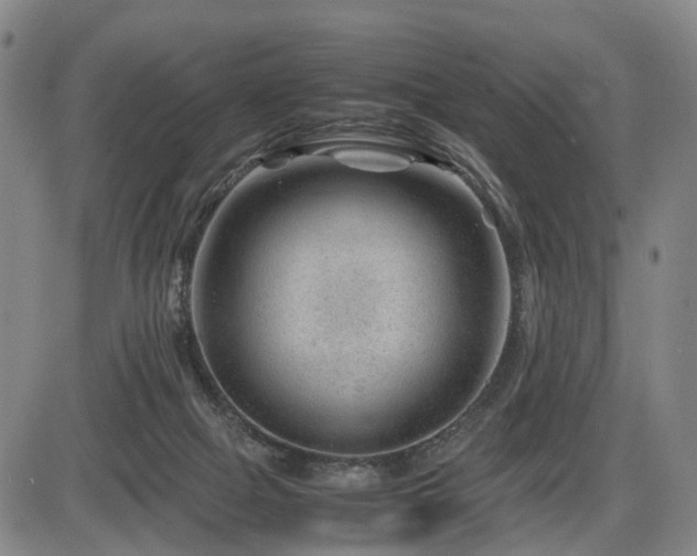 X0000086290073200703301147