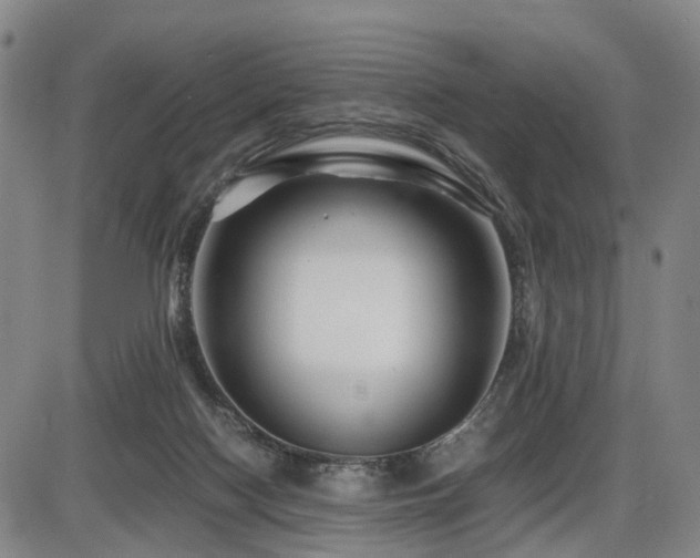 X0000086290074200703301147