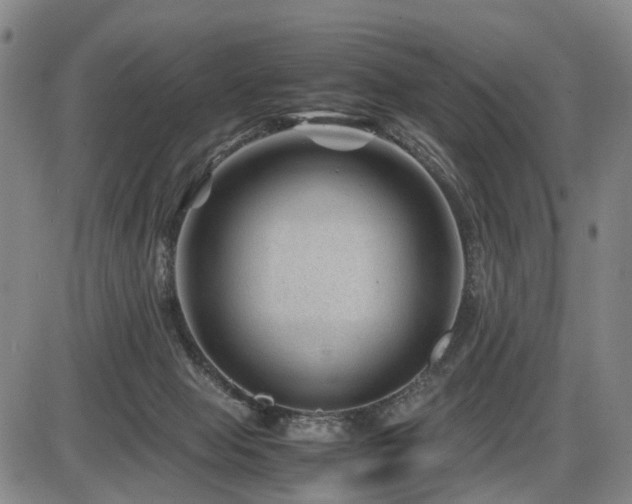 X0000086290077200703301147