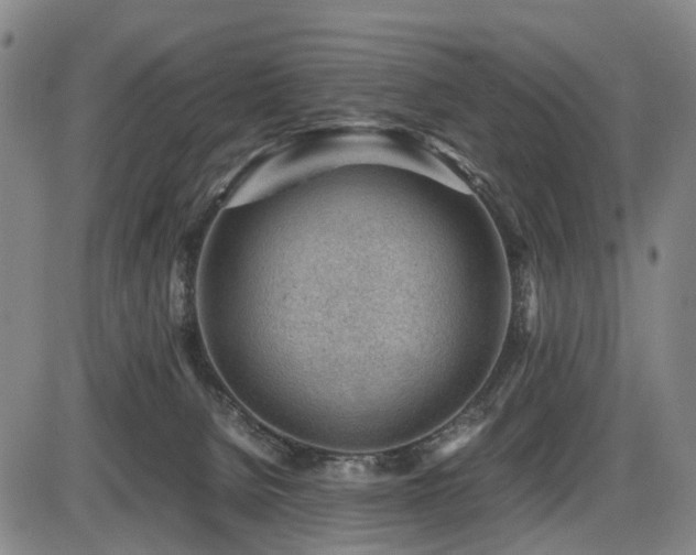 X0000086290080200703301147
