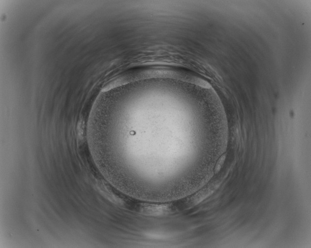 X0000086290081200703301147