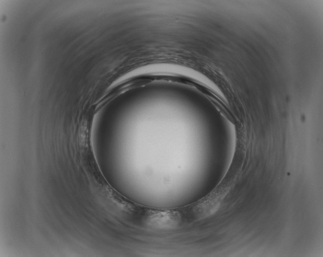 X0000086290083200703301147