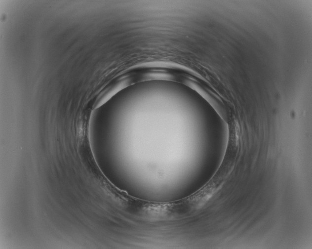 X0000086290084200703301147