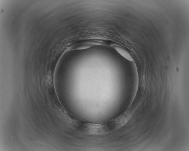 X0000086290085200703301147