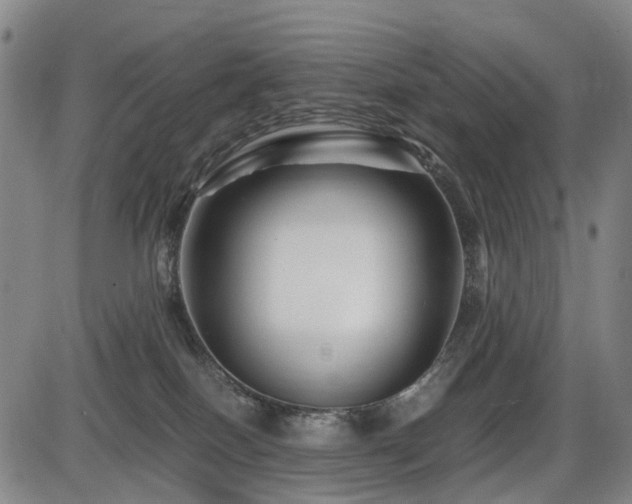 X0000086290086200703301147