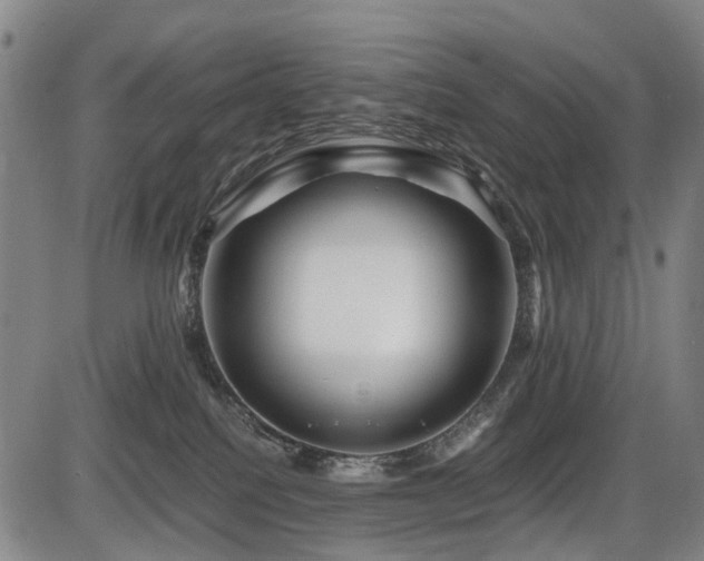 X0000086290088200703301147