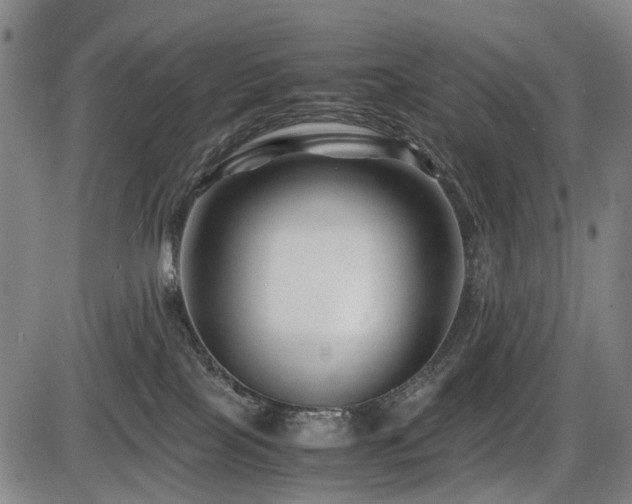 X0000086290089200703301147