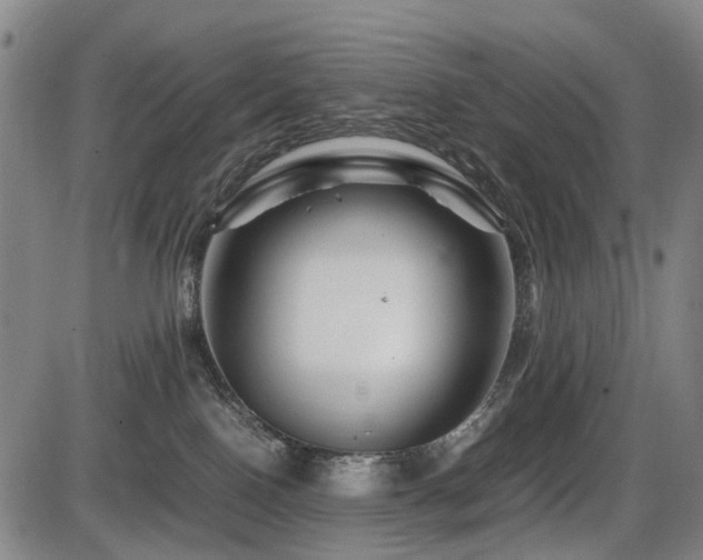X0000086290090200703301147