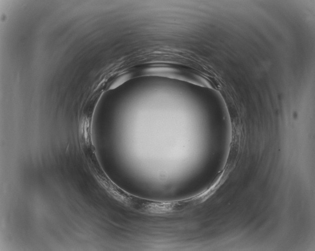 X0000086290094200703301147