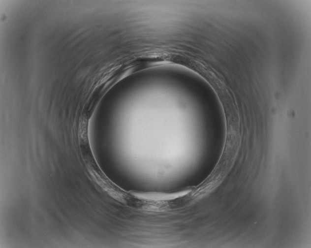 X0000086290096200703301147