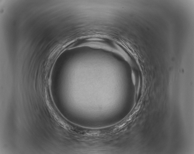 X0000086290097200703301146