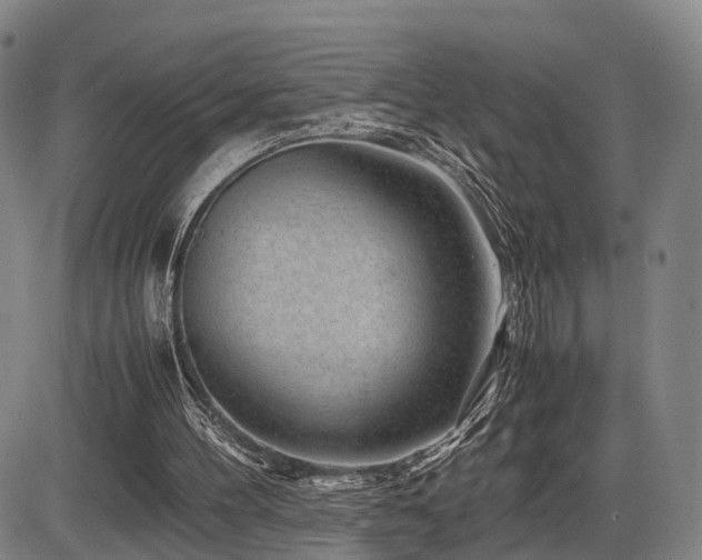 X0000086290100200703301146