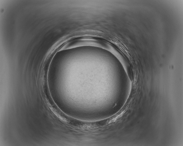 X0000086290101200703301146