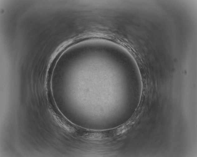 X0000086290104200703301146