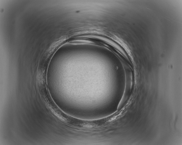 X0000086290105200703301146