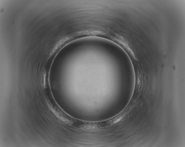 X0000086290110200703301146
