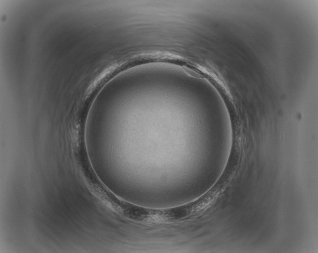 X0000086290111200703301146