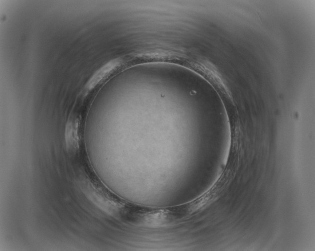 X0000086290116200703301146