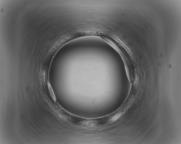 X0000086290117200703301146