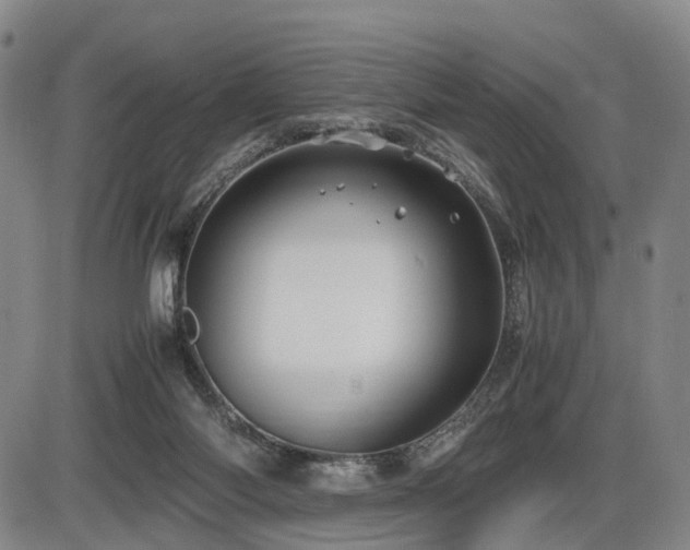 X0000086290118200703301146
