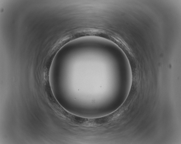 X0000086290119200703301146