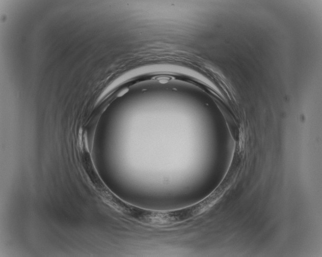 X0000086290121200703301146