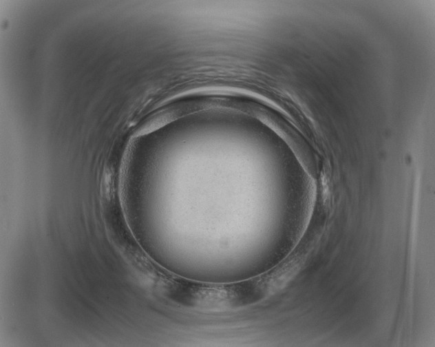 X0000086290123200703301146