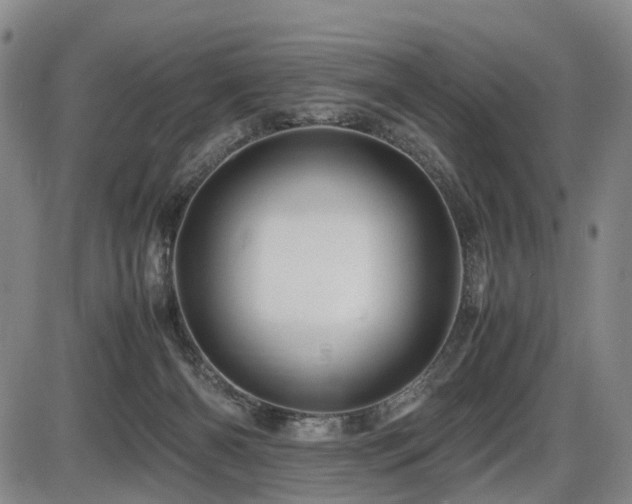 X0000086290126200703301146