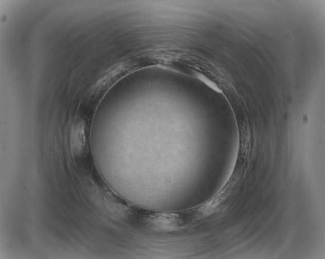 X0000086290128200703301146
