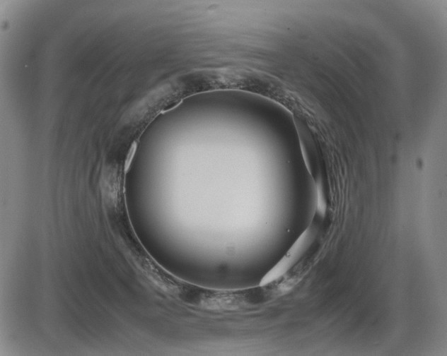 X0000086290129200703301146