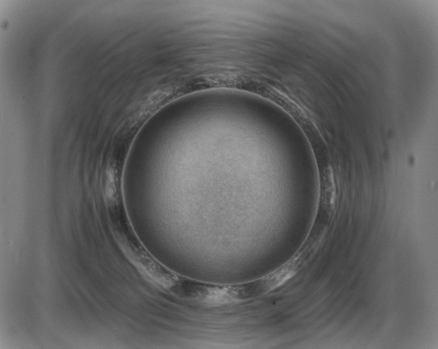 X0000086290130200703301146