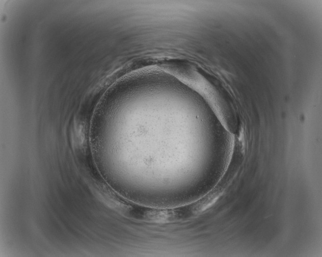 X0000086290131200703301146