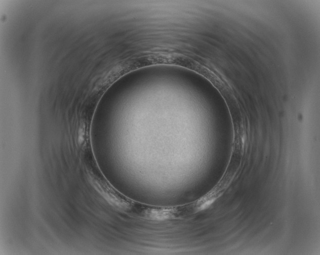 X0000086290134200703301146