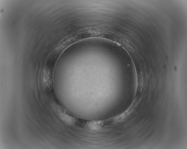 X0000086290136200703301146