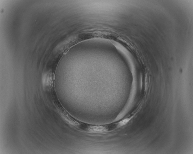X0000086290137200703301146