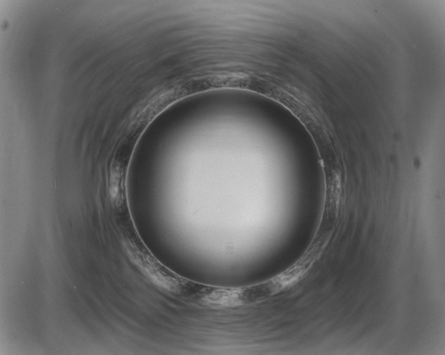 X0000086290138200703301146