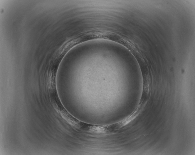 X0000086290140200703301146