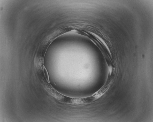 X0000086290141200703301145