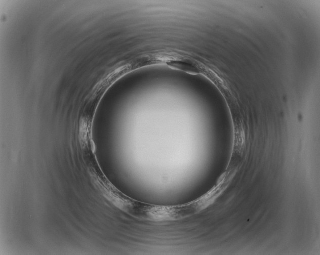 X0000086290142200703301145