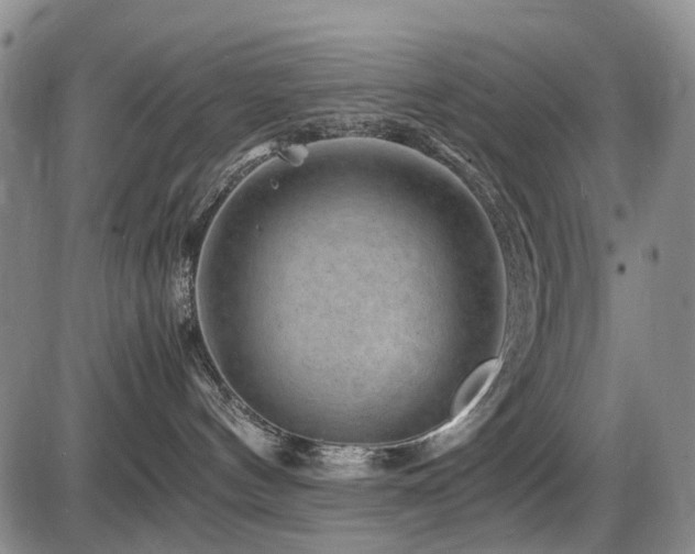 X0000086290144200703301145