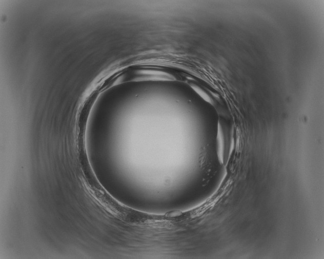 X0000086290150200703301145