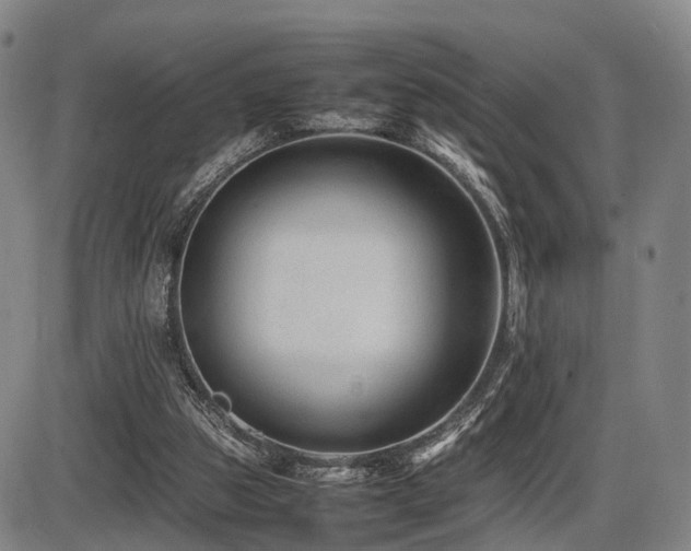 X0000086290153200703301145