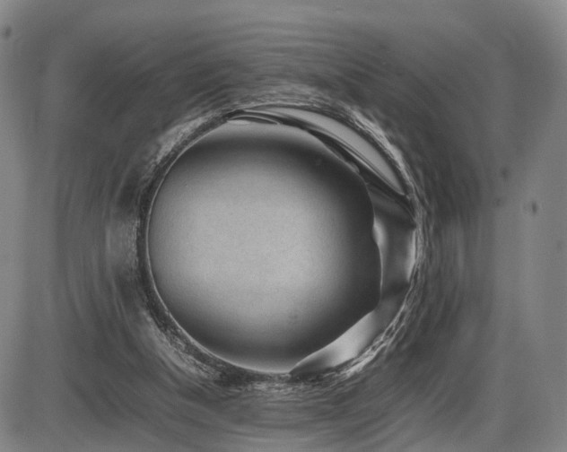 X0000086290154200703301145