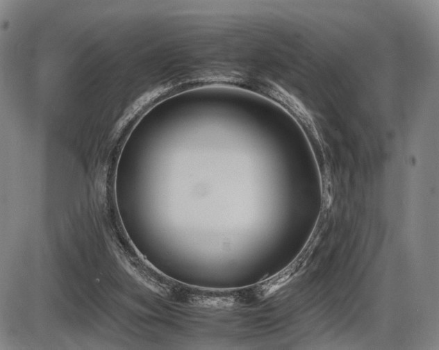 X0000086290155200703301145