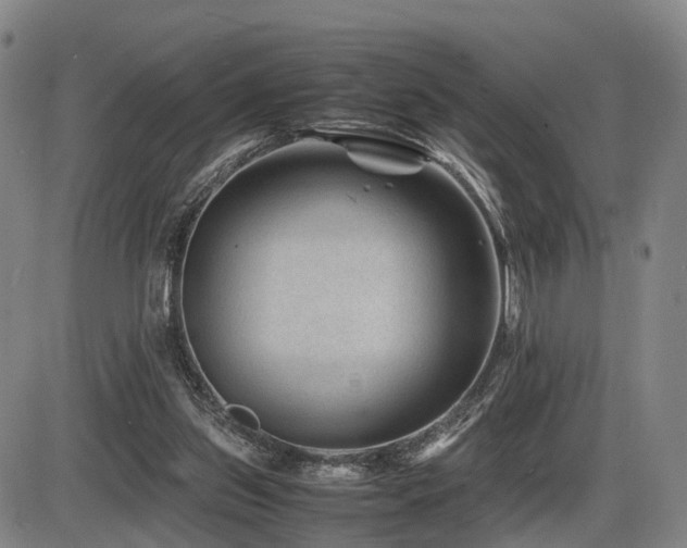 X0000086290157200703301145