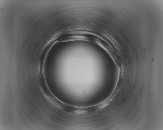 X0000086290158200703301145