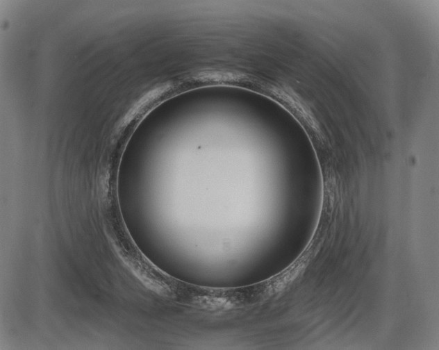 X0000086290159200703301145