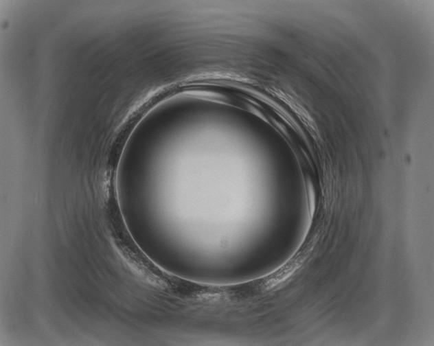 X0000086290160200703301145